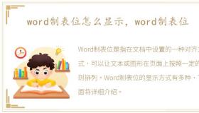 word制表位怎么显示，word制表位