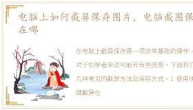 电脑上如何截屏保存图片，电脑截图保存在哪