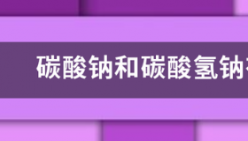 碳酸钠和碳酸氢钠的区别？ 食用碳酸钠和碳酸氢钠的区别