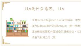 iic是什么意思，iic