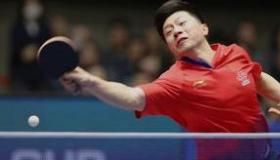 张禹珍哪年生的 2019亚洲乒乓球锦标赛