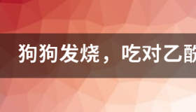 对乙酰氨基酚片可以退烧吗？ 乙酰氨基酚片一次几片