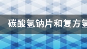 碳酸氢钠和碳酸镁的区别？ 碳酸氢钠和小苏打一样吗