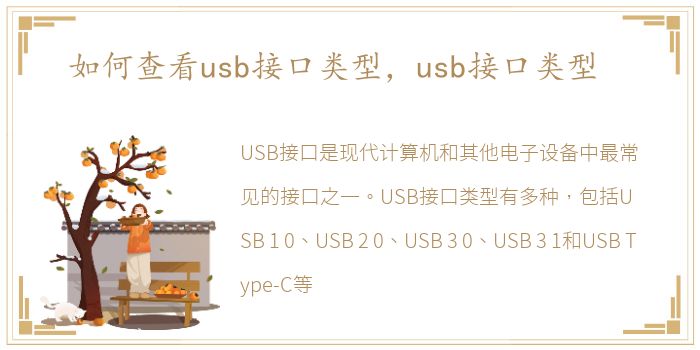 如何查看usb接口类型，usb接口类型