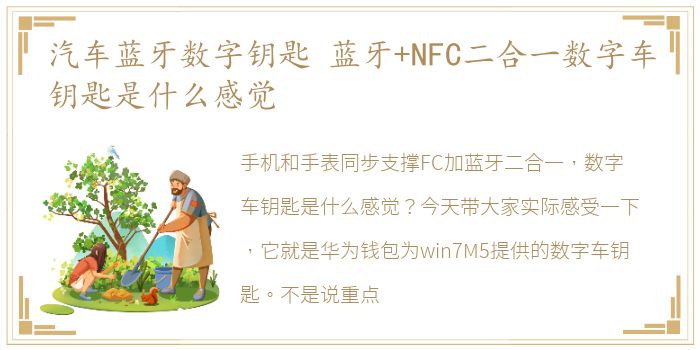 汽车蓝牙数字钥匙 蓝牙+NFC二合一数字车钥匙是什么感觉