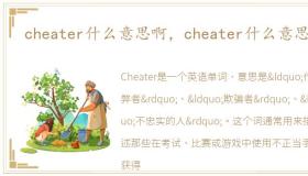 cheater什么意思啊，cheater什么意思