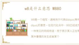 w8是什么意思 W880