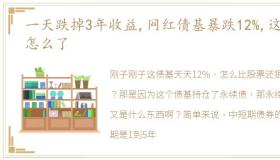 一天跌掉3年收益,网红债基暴跌12%,这是怎么了