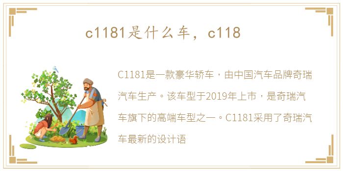 c1181是什么车，c118