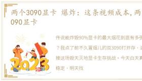 两个3090显卡 爆炸：这条视频成本,两张3090显卡