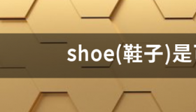 shoe(鞋子)是可数名词吗? shoe