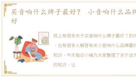 买音响什么牌子最好？ 小音响什么品牌最好