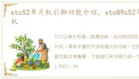 stc52单片机引脚功能介绍，stc89c52单片机