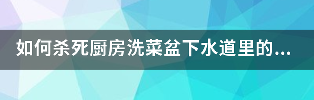 如何杀死厨房洗菜盆下水道里的飞虫 甲基丁香油在哪里买