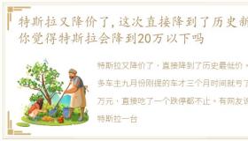 特斯拉又降价了,这次直接降到了历史新低,你觉得特斯拉会降到20万以下吗