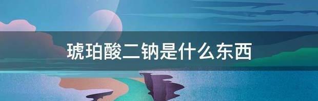 琥珀酸二钠是什么东西 琥珀酸二钠是干贝素吗