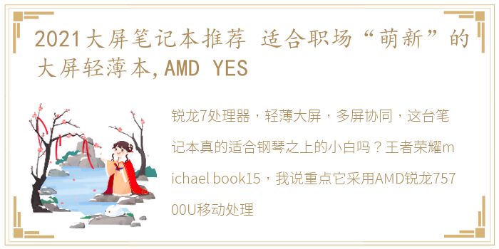 2021大屏笔记本推荐 适合职场“萌新”的大屏轻薄本,AMD YES