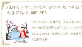 2021大屏笔记本推荐 适合职场“萌新”的大屏轻薄本,AMD YES