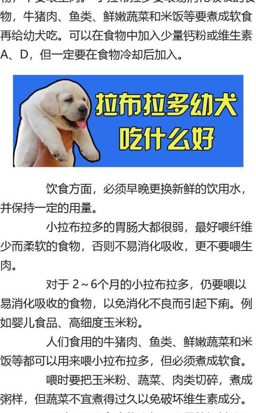 拉布拉多犬拉稀怎么办？ 拉布拉多犬拉稀吃什么药