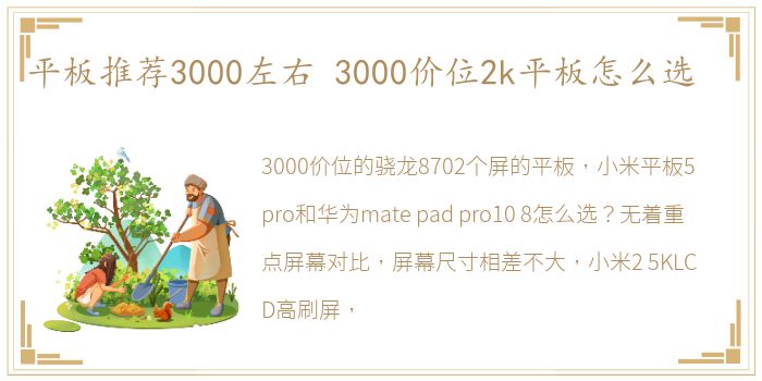 平板推荐3000左右 3000价位2k平板怎么选