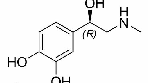 肾上腺素是什么? 肾上腺素