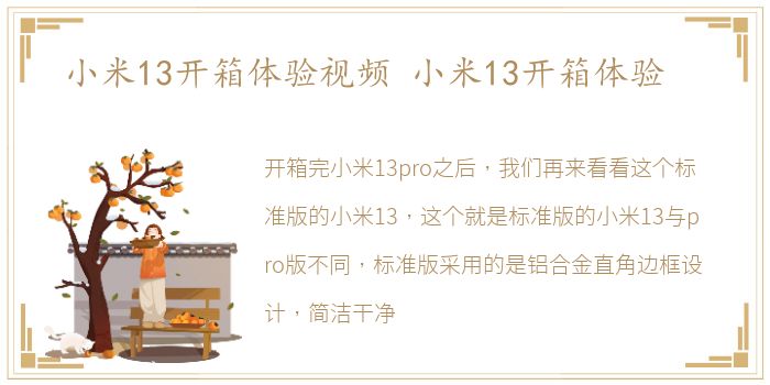 小米13开箱体验视频 小米13开箱体验