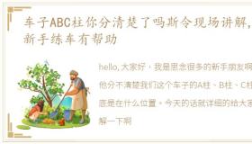 车子ABC柱你分清楚了吗斯令现场讲解,对新手练车有帮助