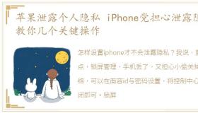 苹果泄露个人隐私 iPhone党担心泄露隐私教你几个关键操作