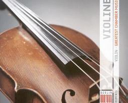 violin什么意思 violin