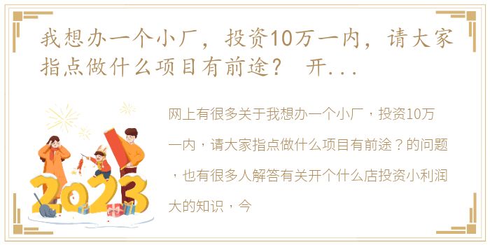 我想办一个小厂，投资10万一内，请大家指点做什么项目有前途？ 开个什么店投资小利润大