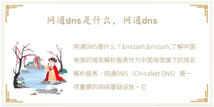 网通dns是什么，网通dns