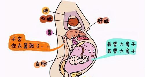 缓解孕妇便秘8个方法 孕妇便秘严重急救方法