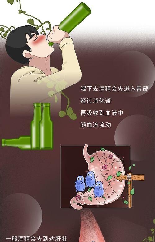 喝完酒吃什么解酒快？ 吃什么东西解酒最快