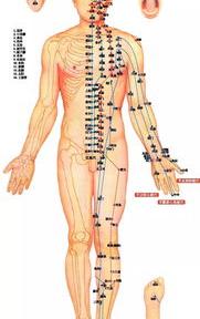 十二经络动态走向图 十二经络走向高清图