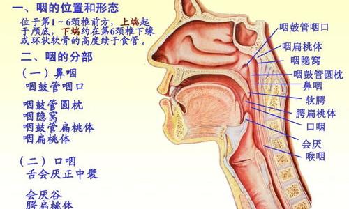 如何治疗慢性咽喉炎？ 慢性咽炎怎么治疗