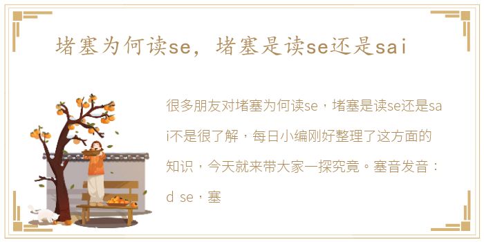 堵塞为何读se，堵塞是读se还是sai