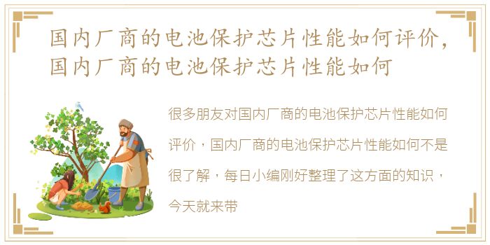 国内厂商的电池保护芯片性能如何评价，国内厂商的电池保护芯片性能如何