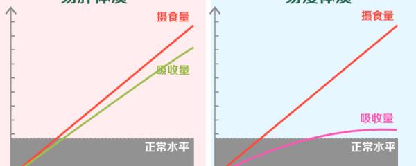 怎么样才能更好的减肥，不反弹？ 怎么减肥不反弹效果好