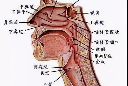 副鼻窦炎症状及治疗方法是什么？ 鼻窦炎的症状及治疗方法