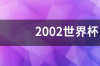 02世界杯中国对巴西数据？ 2002中国vs巴西