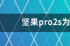 坚果pro2s为什么不能双清？ 锤子坚果pro2s