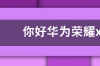 你好华为荣耀x10换屏多少钱？ 华为荣耀x10价格