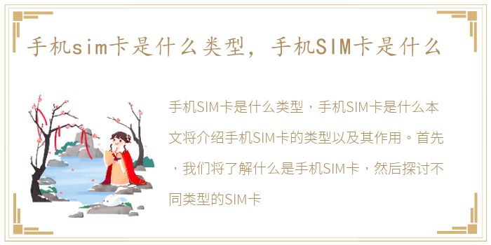 手机sim卡是什么类型，手机SIM卡是什么