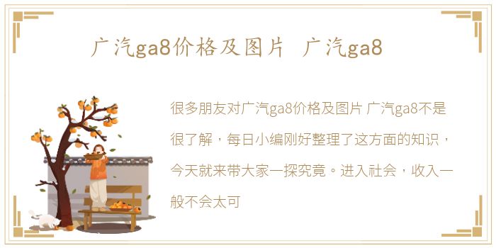 广汽ga8价格及图片 广汽ga8