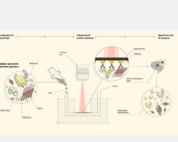 一种用于检测神经生成疾病蛋白的新型生物传感器