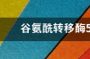 谷氨酰转肽酶偏高怎么办？ 谷氨酰转移酶