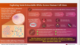 揭开人类细胞系半提取RNA的神秘面纱