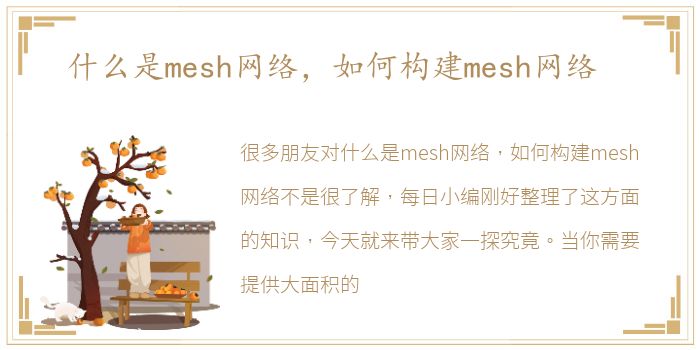 什么是mesh网络，如何构建mesh网络