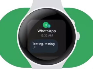 WhatsApp现已可在Wear OS智能手表上使用