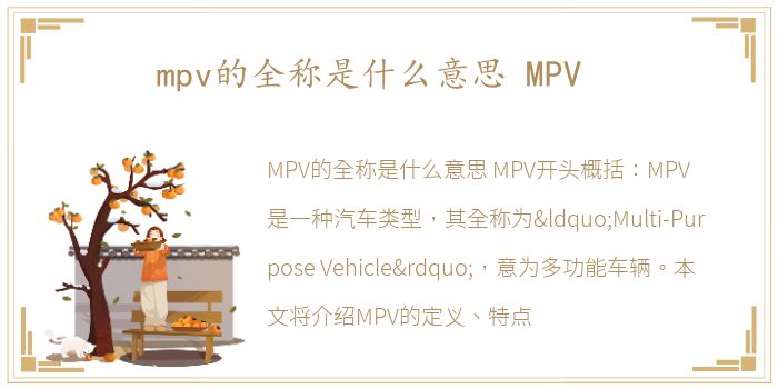 mpv的全称是什么意思 MPV